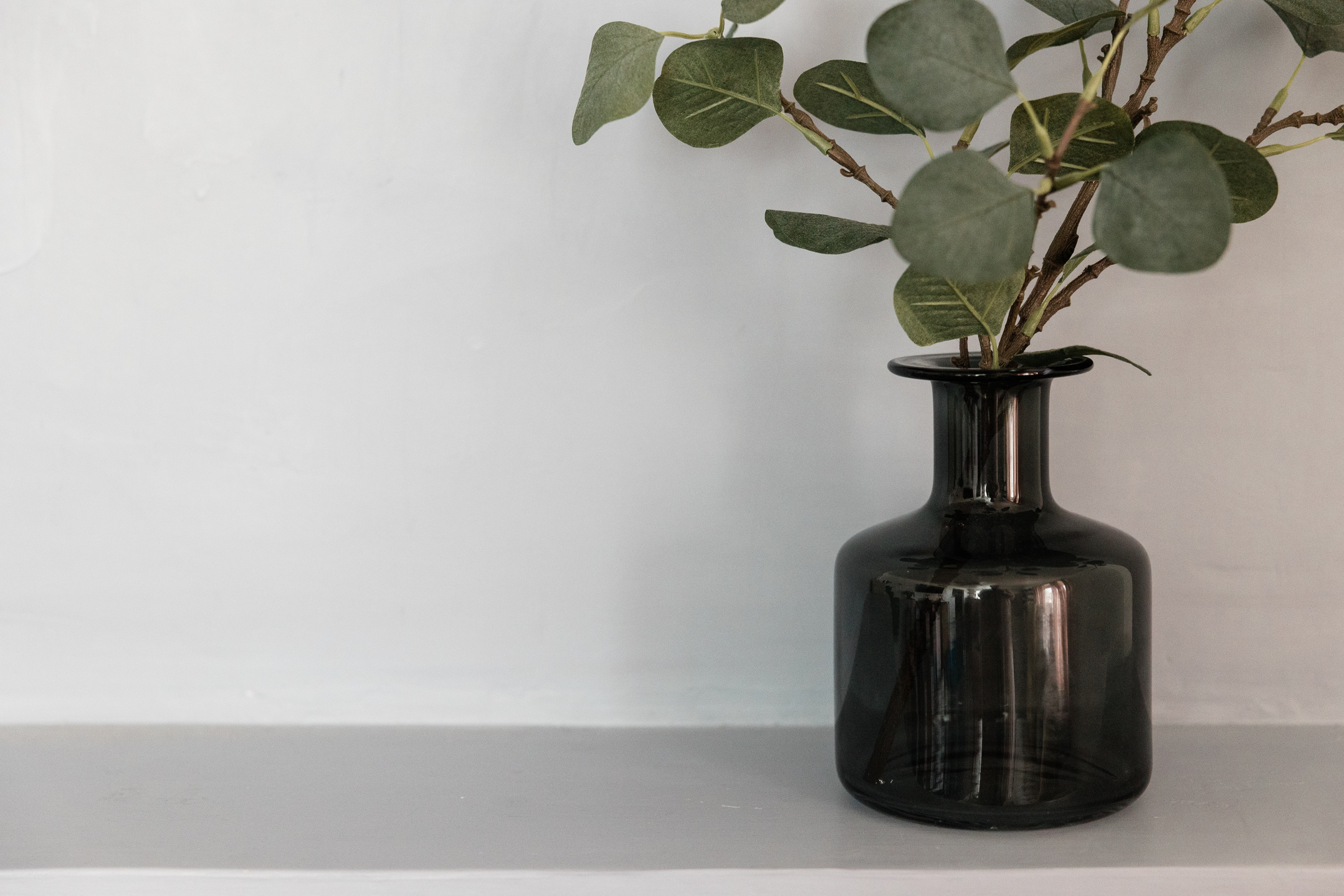 Plants on Dark Glass Vase