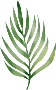 Watercolor Leaf Object 